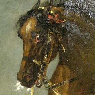 Général Habert détail du cheval après restauration