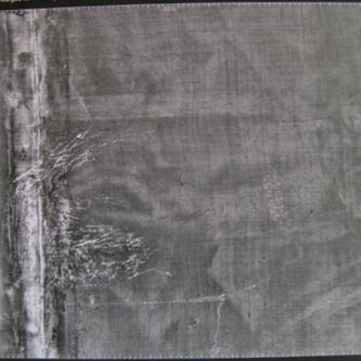 La Grande Mademoiselle Radiographie de la zone du repeint