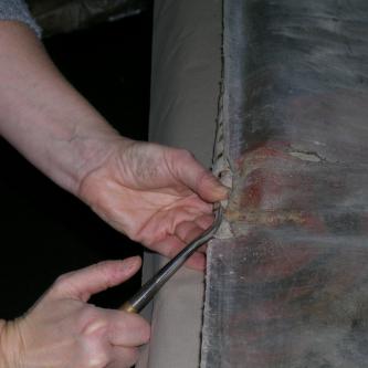 Dormition enlèvement des semences